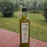 Il Tripesce *