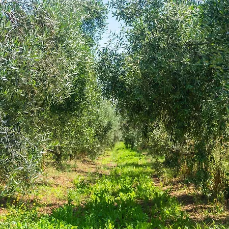 Gospodarstwo agroturystyczne Il Tripesce