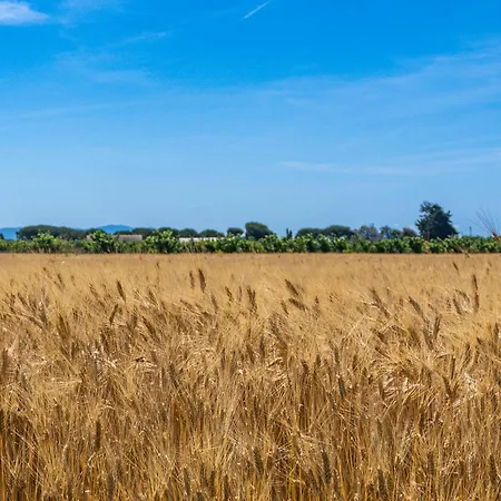 Gospodarstwo agroturystyczne Il Tripesce *