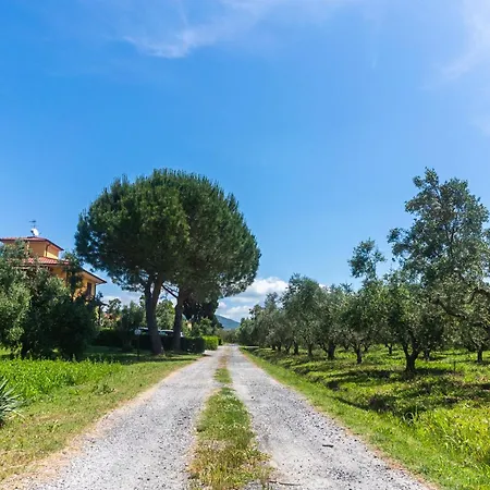 Farm stay Il Tripesce Vada